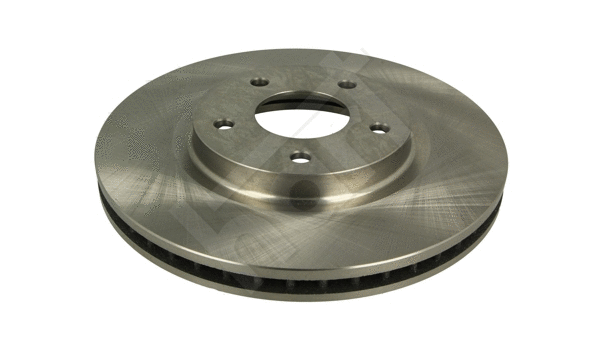 Brake Disc (228 869)