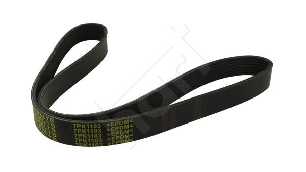 V-Ribbed Belt (369 006)