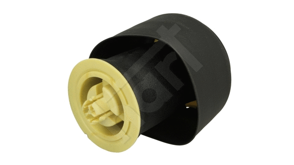 Air Spring, suspension (480 544)