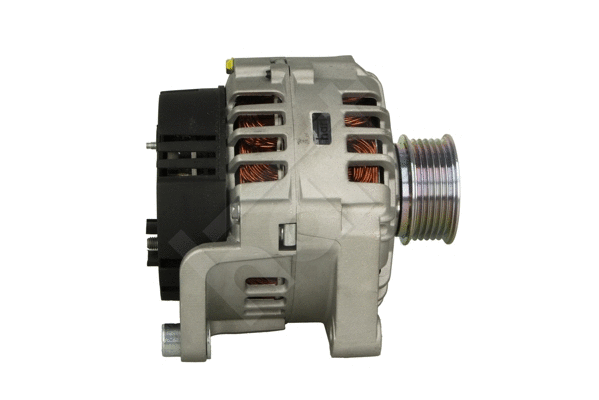 Alternator (534 338)