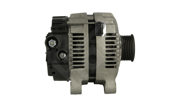 Alternator (534 357)