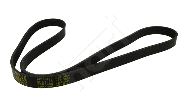 V-Ribbed Belt (368 937)