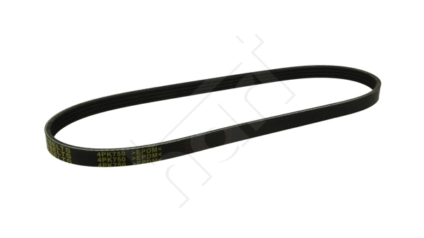 V-Ribbed Belt (368 853)