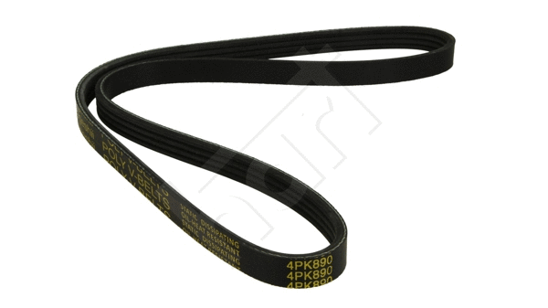 V-Ribbed Belt (338 068)