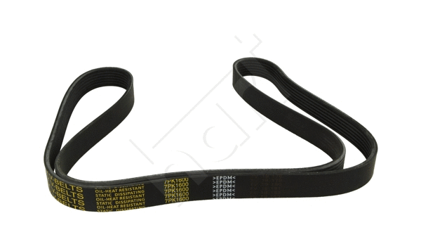 V-Ribbed Belt (917 414)