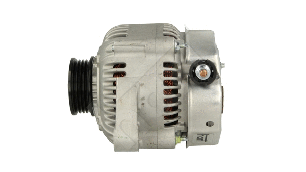 Alternator (542 159)
