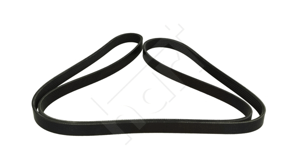 V-Ribbed Belt (917 762)