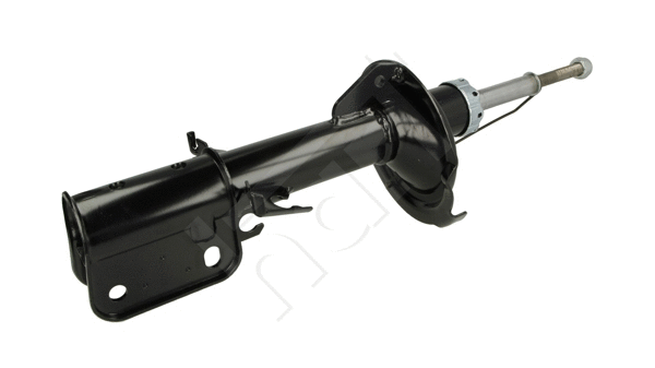Shock Absorber (807 116)