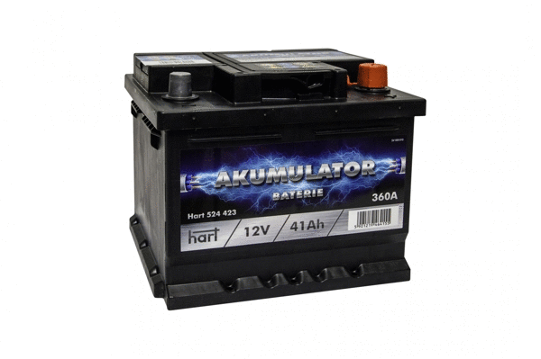 Starter Battery (524 423)