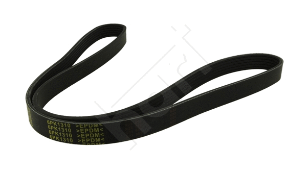V-Ribbed Belt (368 929)