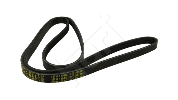 V-Ribbed Belt (368 849)