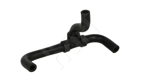 Hose, crankcase ventilation (907 418)