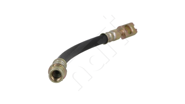 Brake Hose (262 145)