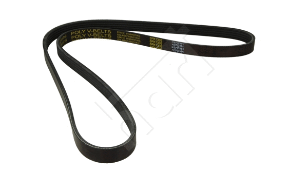 V-Ribbed Belt (917 748)