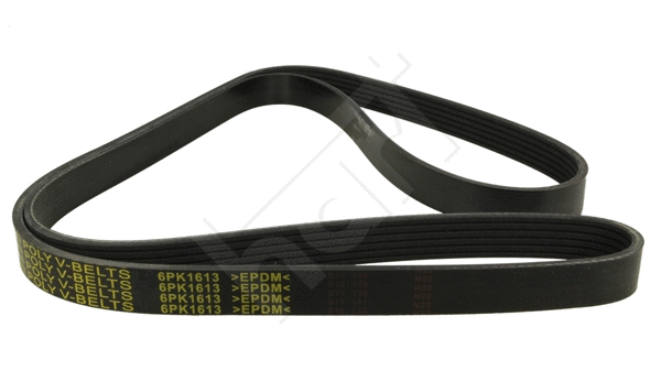 V-Ribbed Belt (368 954)