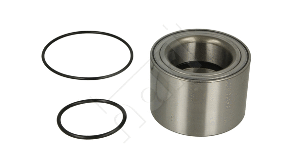 Wheel Bearing Kit (029 889)
