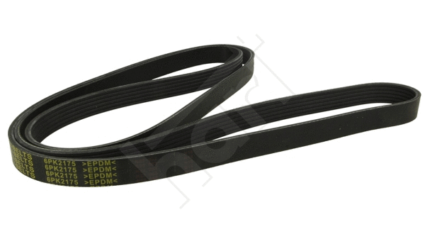 V-Ribbed Belt (368 984)