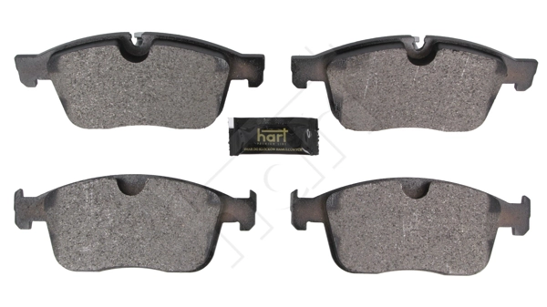 Brake Pad Set, disc brake (261 810)