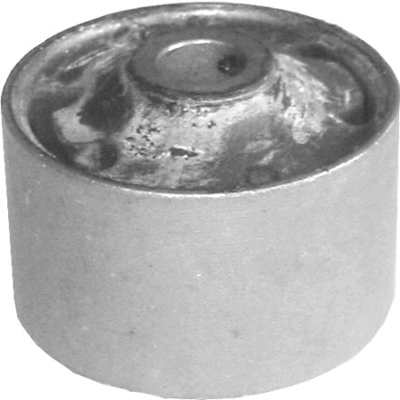 Bushing, axle beam (420 707)