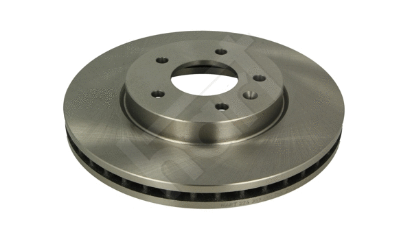 Brake Disc (224 359)