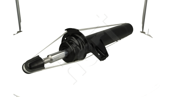 Shock Absorber (810 072)