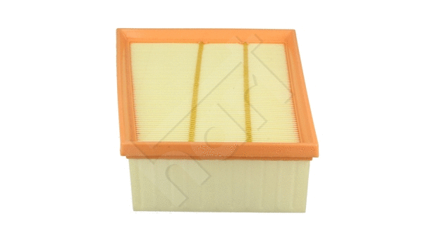Air Filter (905 538)