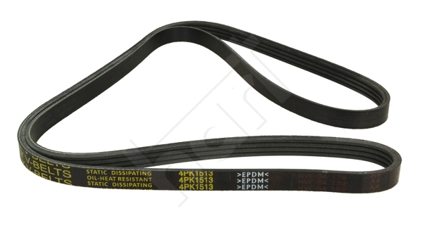 V-Ribbed Belt (305 722)