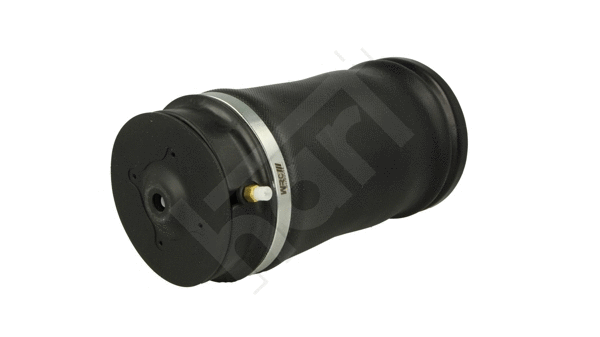 Air Spring, suspension