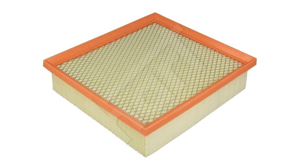 Air Filter (924 051)