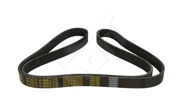 V-Ribbed Belt (917 782)