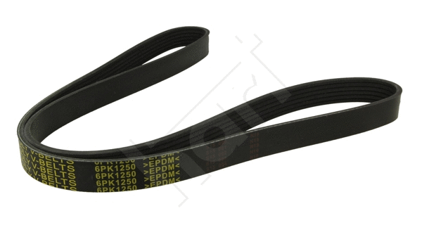 V-Ribbed Belt (368 924)