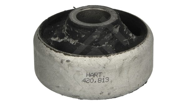 Mounting, control/trailing arm