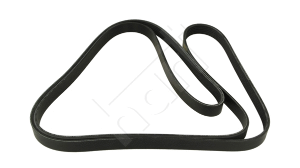 V-Ribbed Belt (917 774)