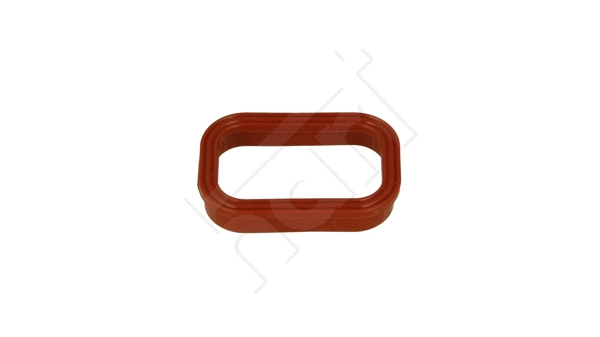 Gasket, intake manifold (713 487)