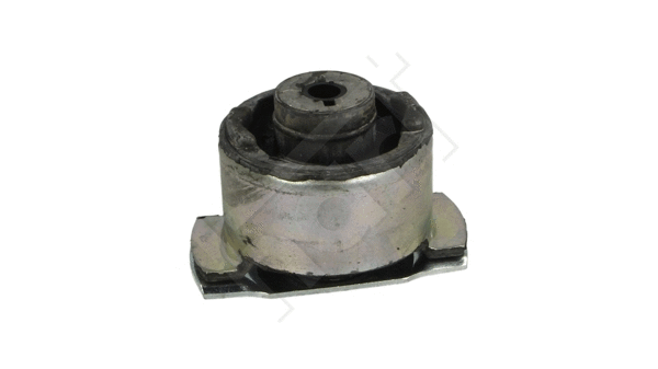 Bushing, axle beam (435 716)