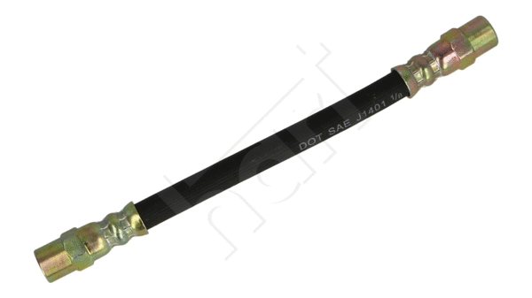 Brake Hose (219 920)
