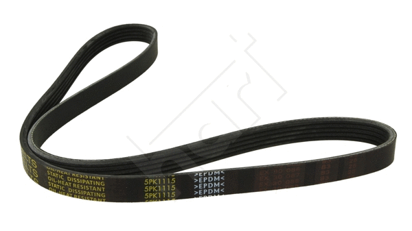 V-Ribbed Belt (334 296)