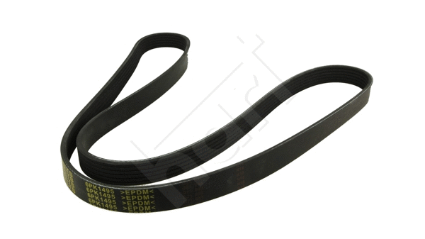 V-Ribbed Belt (368 942)