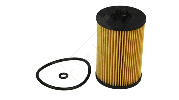 Oil Filter (373 298)