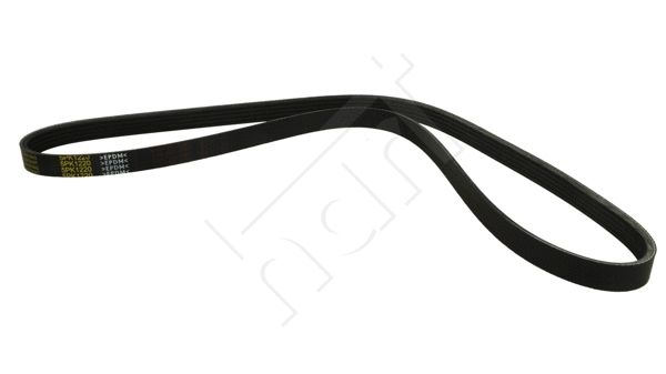 V-Ribbed Belt (334 018)