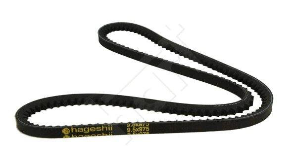 V-Belt (305 636)