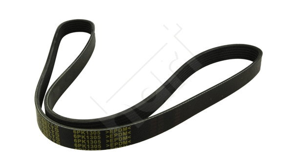 V-Ribbed Belt (368 928)