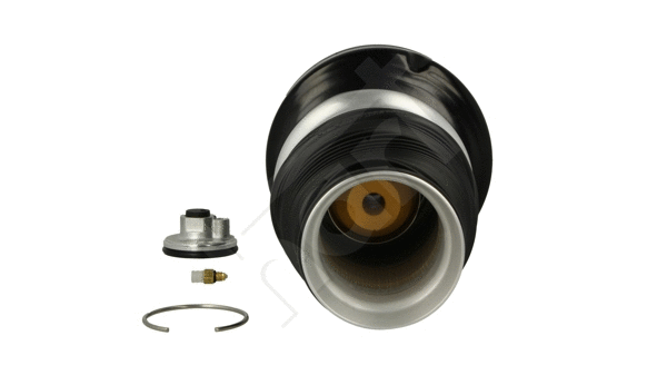 Air Suspension Strut