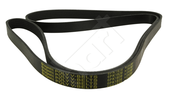 V-Ribbed Belt (368 905)