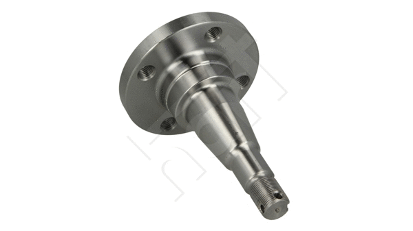 Wheel Hub (437 096)