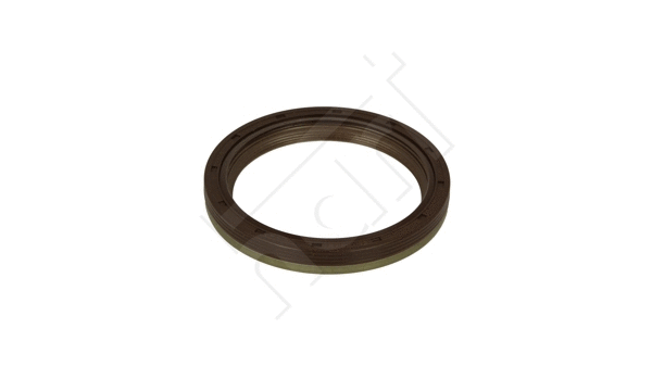 Shaft Seal, crankshaft (720 185)