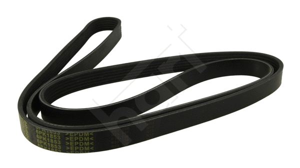 V-Ribbed Belt (368 967)