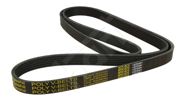 V-Ribbed Belt (334 322)