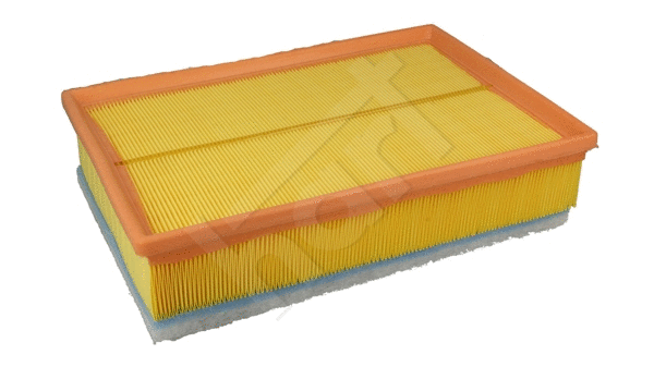 Air Filter (362 879)