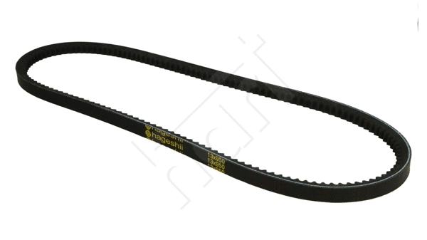 V-Belt (305 709)